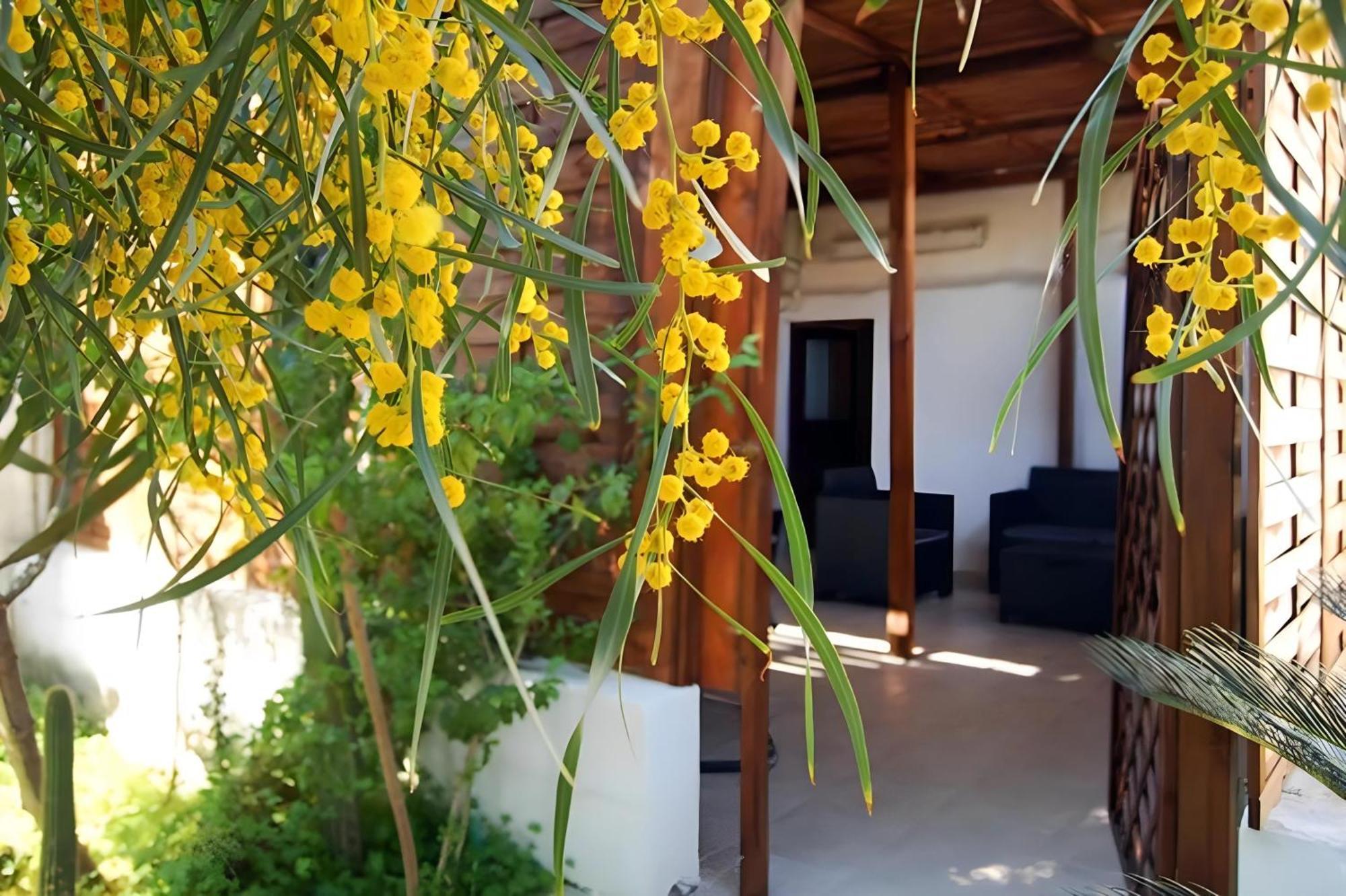 Sea Breeze Villa - Sole Apartment Bari Exterior foto